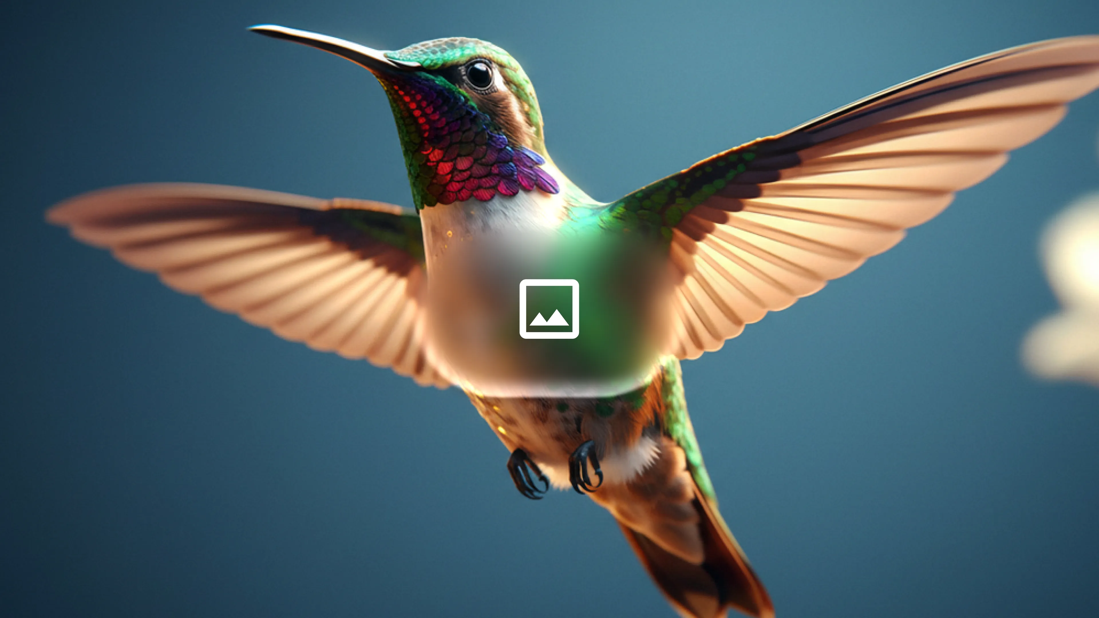 Input image