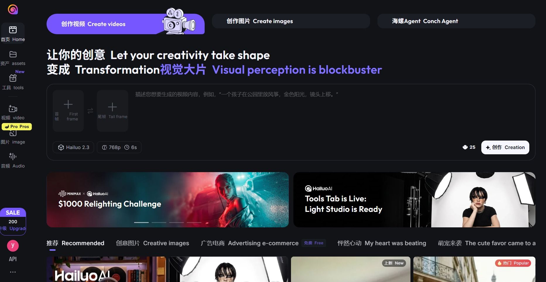 Hailuo AI Video Creation Panel (Free)