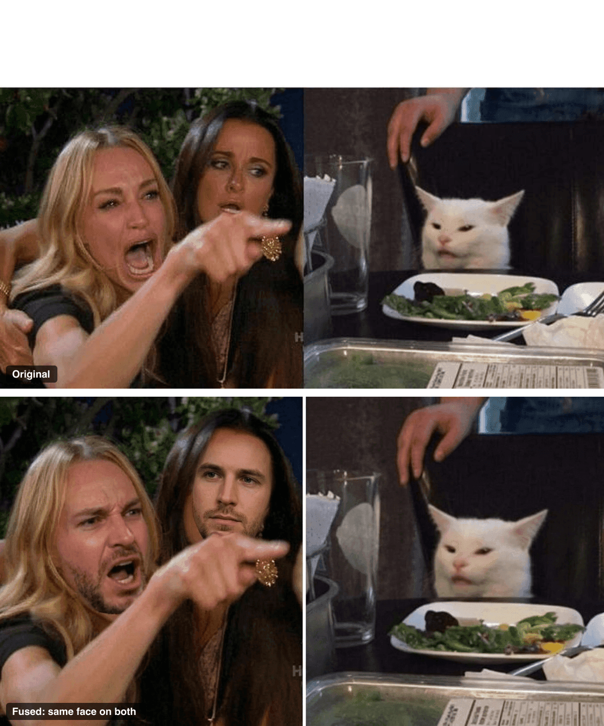 Woman yelling at cat meme compared to a male face-swap version
