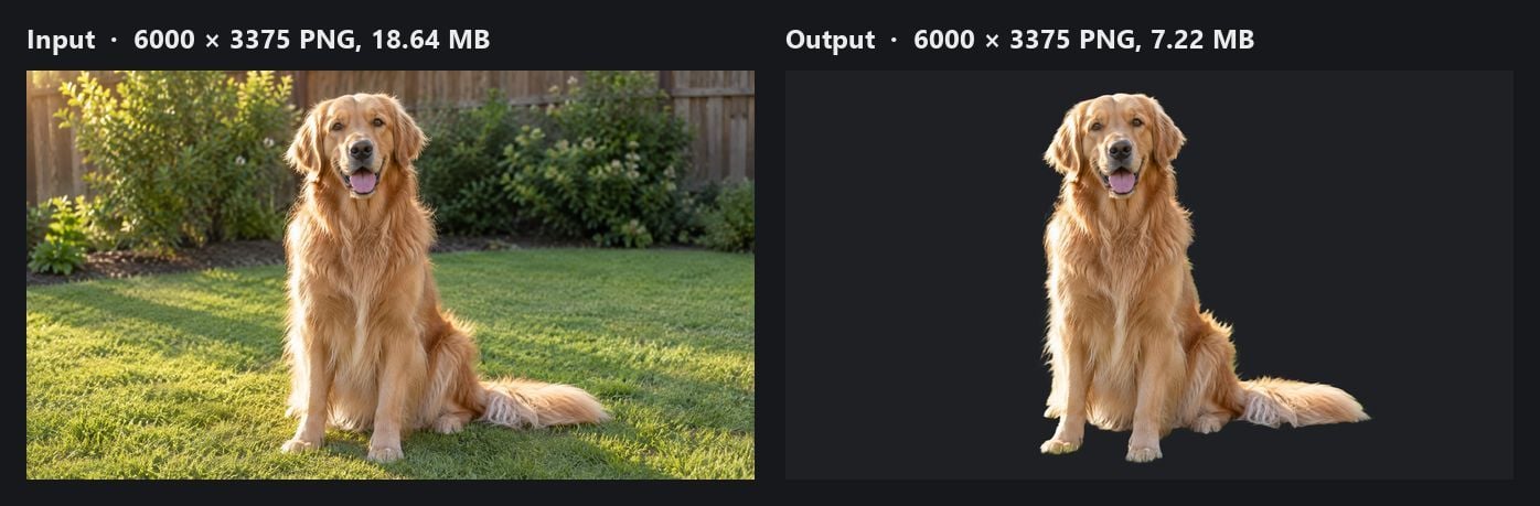 Side by side: the 6000 by 3375 input photo of a golden retriever sitting on a lawn in front of a wooden fence, and the 6000 by 3375 output from the free Canva background remover alternative with the dog on a dark background and the lawn and fence removed. AI-generated test input.