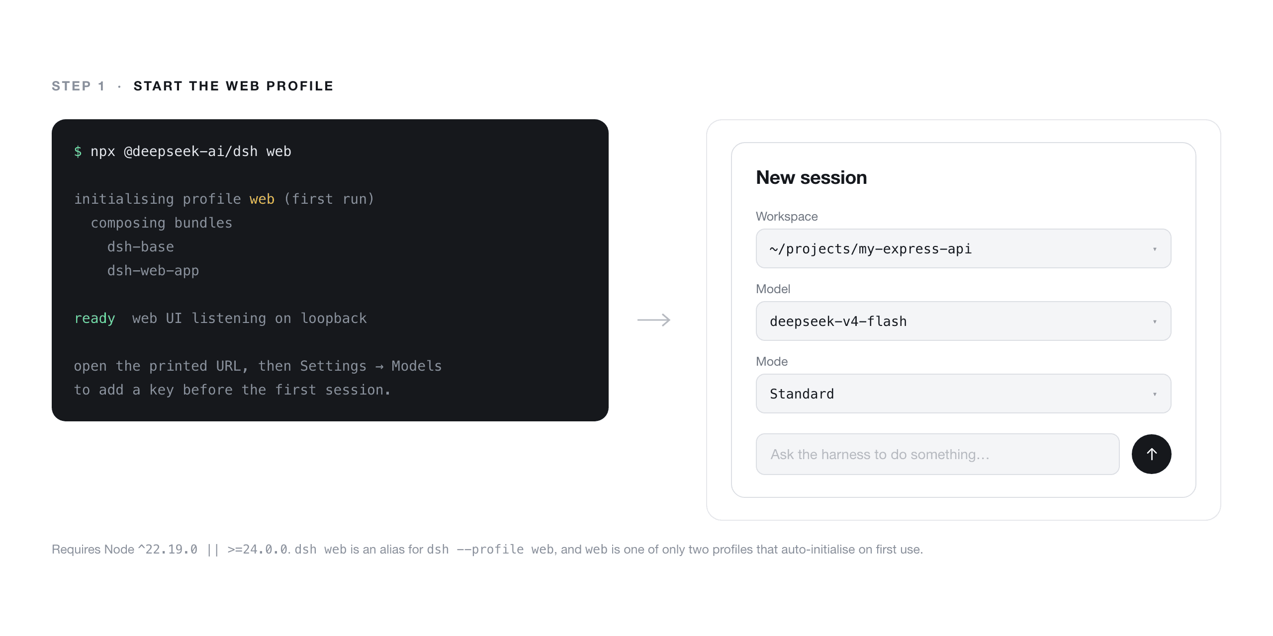 Terminal command starting a web interface for a new session