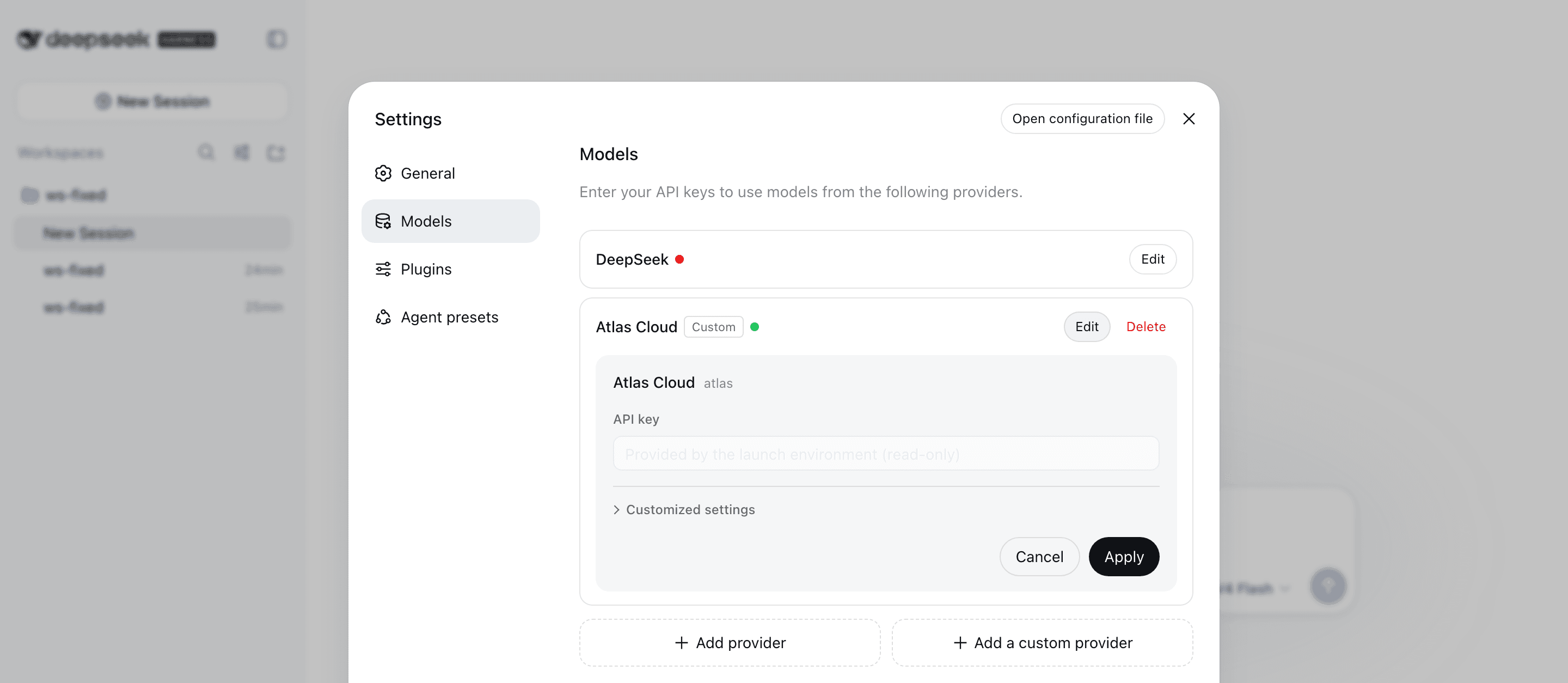 Settings menu showing API key configuration for DeepSeek and Atlas Cloud