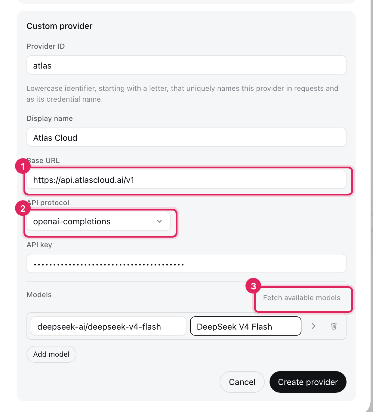 Custom provider setup form with three numbered steps highlighted