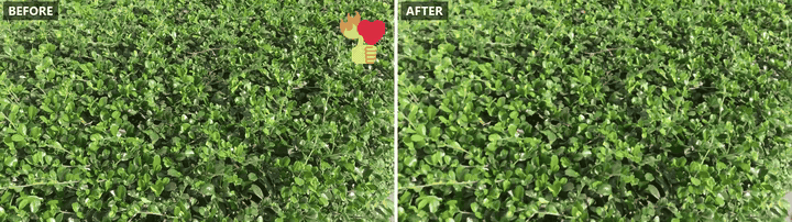 Side-by-side before and after video of a cluster of reaction emoji removed from the corner of a clip without disturbing the background behind them