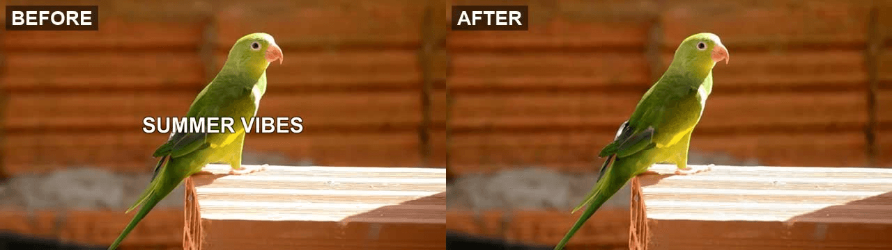 Side-by-side before and after screenshot showing a static white title over a textured background, text seamlessly removed