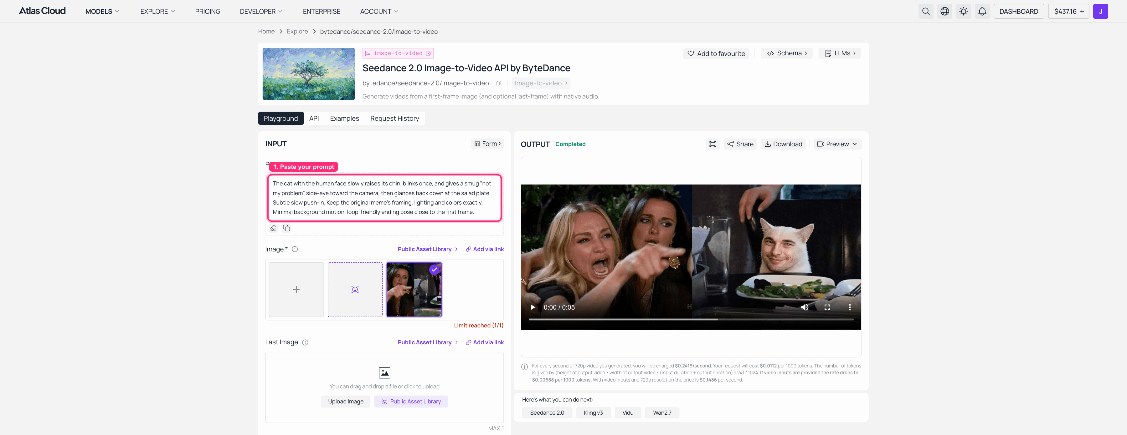 Screenshot of an AI video generator interface showing a cat meme