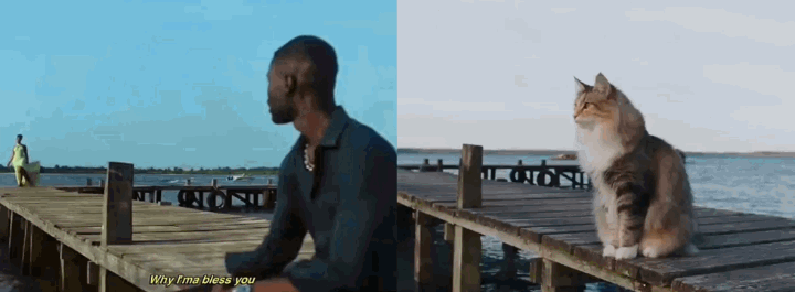 Two source portraits transformed into a three-shot Raindance AI video on a wooden pier, by the ocean waves, and on a sunset beach
