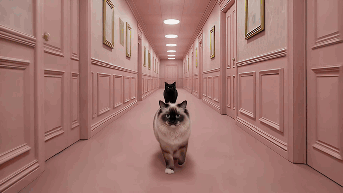 Two cats walking down a long pink hallway