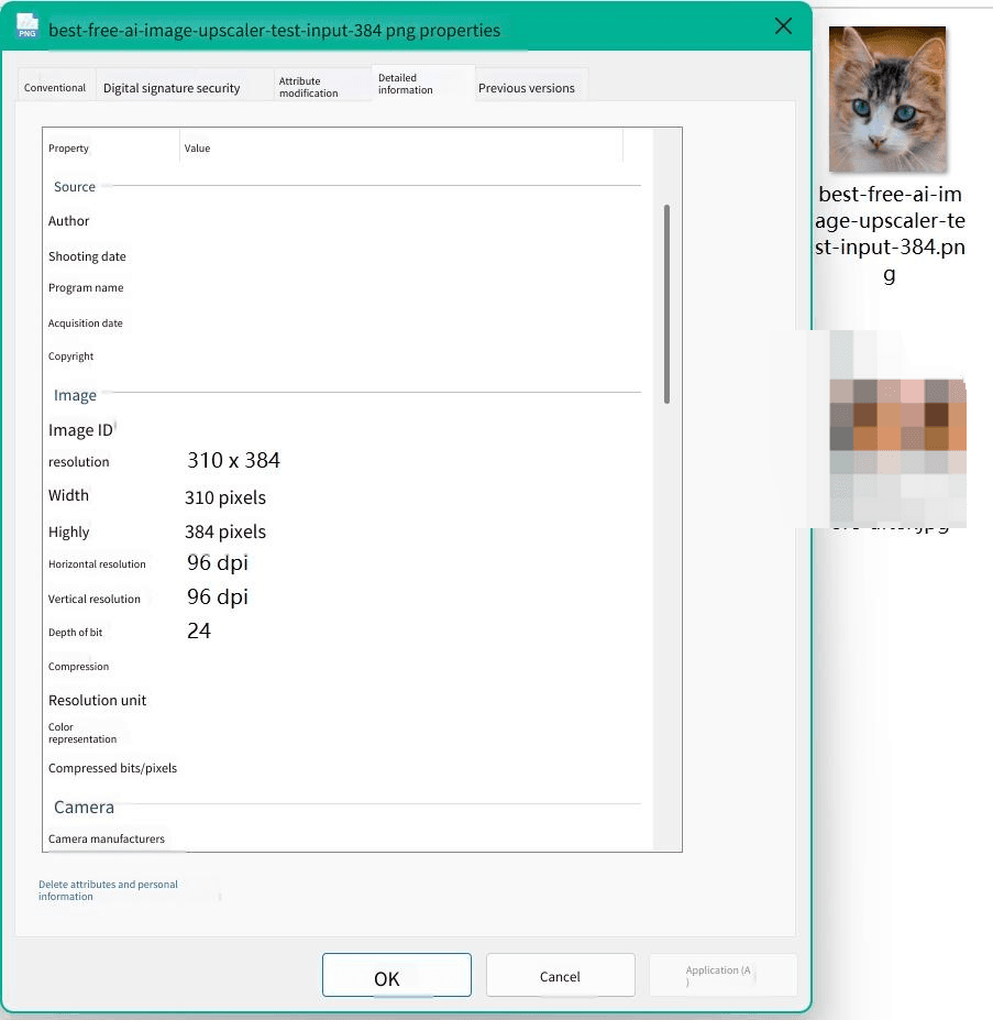 The 310 by 384 pixel cat portrait used as the test source for the AI image upscaler run in this article, shown with its dimensions in the file details pane