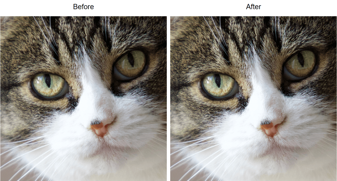 Side by side compare view in a browser AI image upscaler, a small 384 pixel crop of a tabby cat's face on the left and the rebuilt 768 pixel version on the right with visibly sharper whiskers and fur