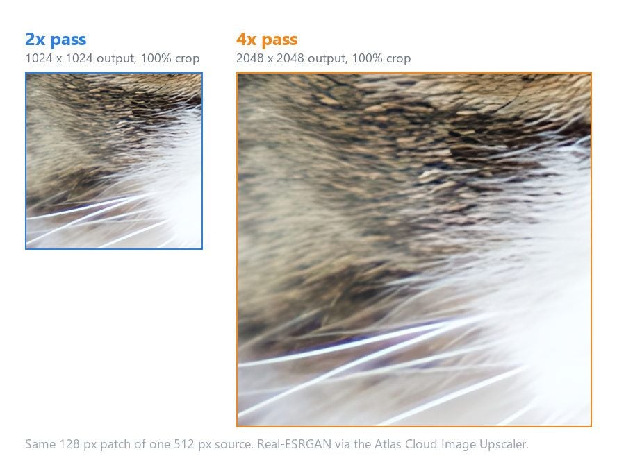 Two 100 percent crops of the same upscaled cat photo side by side, the 2x result holding separate fur strands and the 4x result smoothing them into a waxier surface